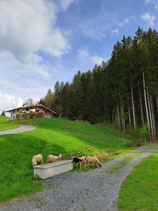 Ferienhaus Hansl Prama Exterior photo